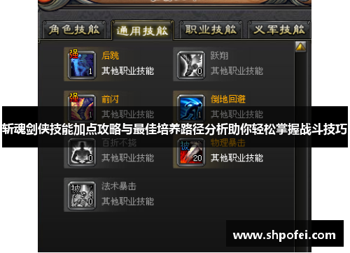 斩魂剑侠技能加点攻略与最佳培养路径分析助你轻松掌握战斗技巧